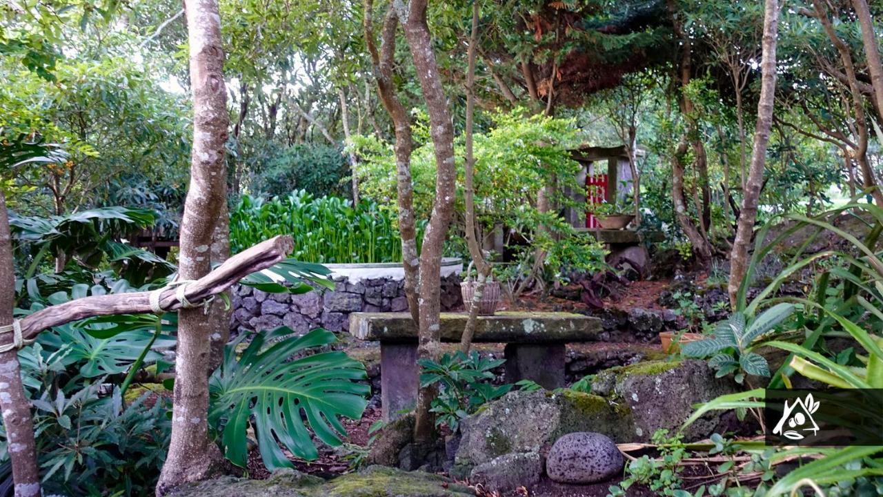 Quinta Do Paraiso Porto Martins Экстерьер фото